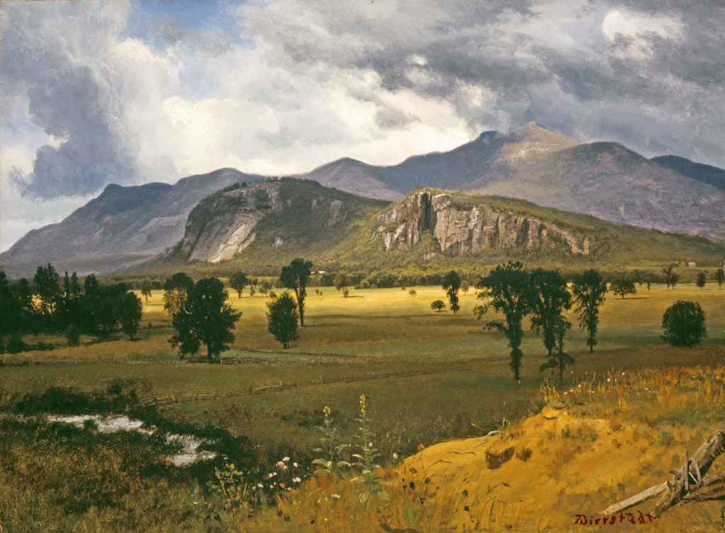 View of Moat Mountain, Intervale, New Hampshire in Detail Albert Bierstadt